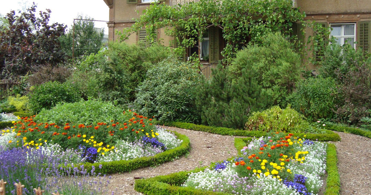 Bauerngarten anlegen: Tipps für einen romantischen Gartenstil – So gestaltest du einen authentischen Bauerngarten