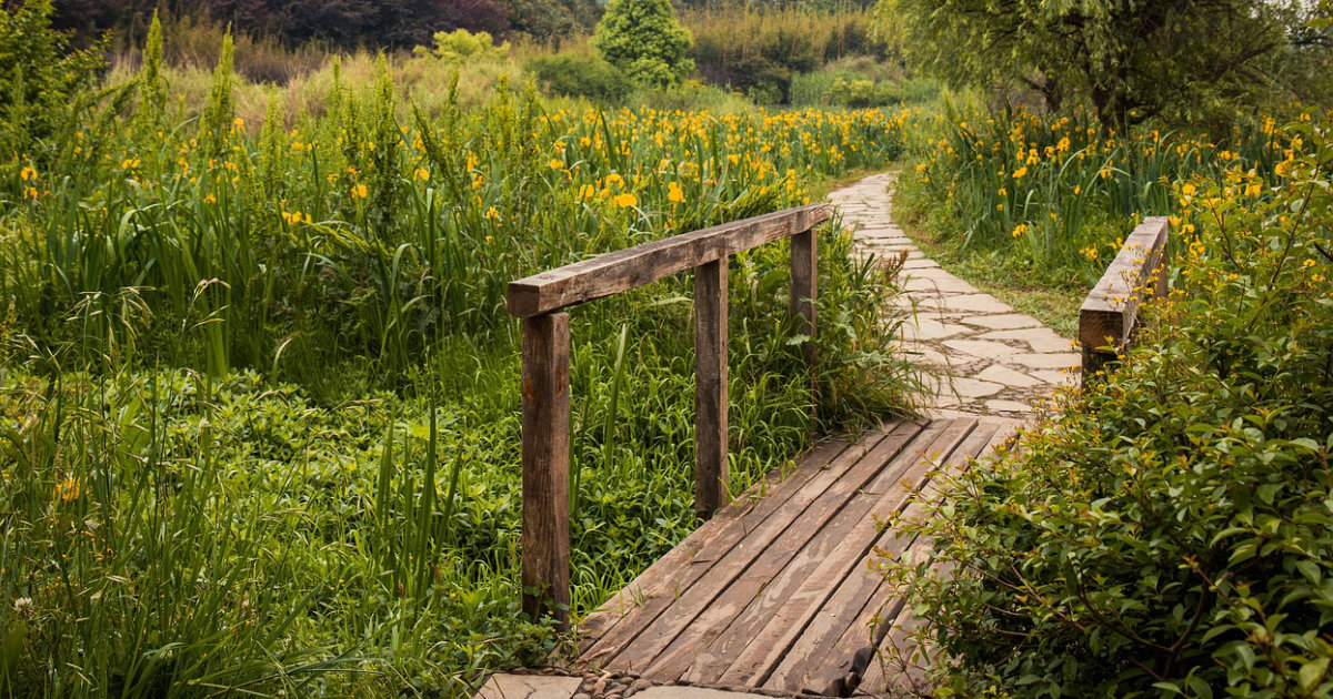 Wege und Pfade im Garten: Materialien und Ideen für eine ansprechende Gartengestaltung