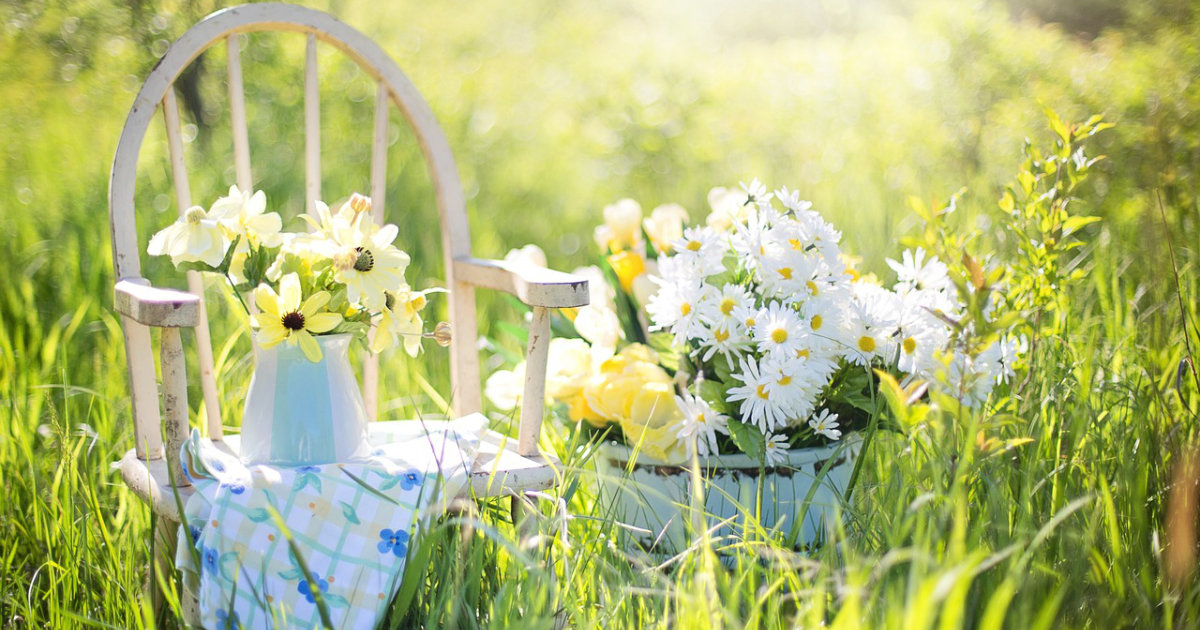 Ideen für kleine Gärten: Platzsparende Lösungen für jeden Raum – So gestaltest du einen kleinen Garten optimal