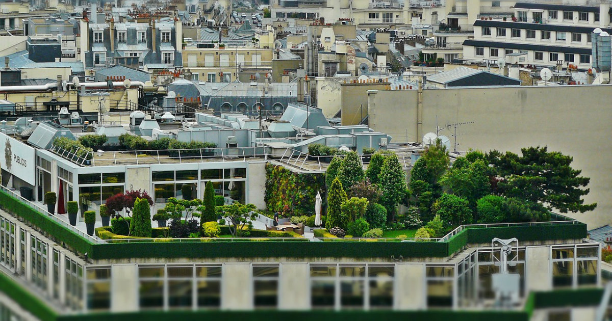 Dachgärten: Begrünung auf kleinstem Raum – So verwandelst du dein Dach in eine grüne Oase