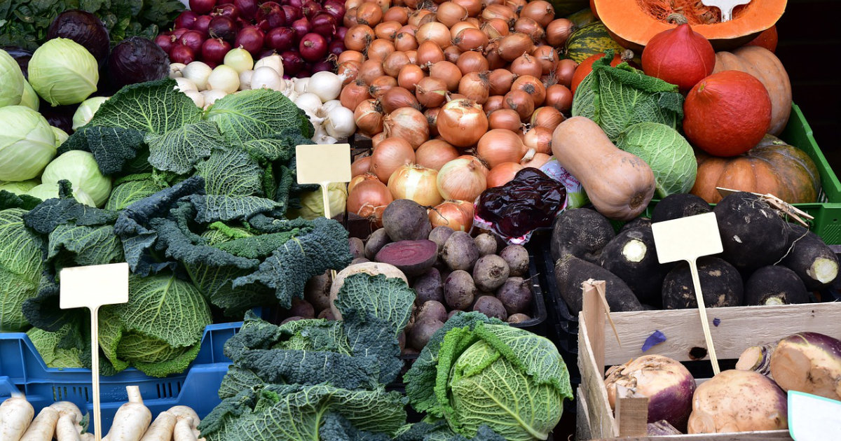 Wintergemüse anbauen: Grünkohl, Feldsalat und Co. – So bringst du frisches Gemüse in die kalte Jahreszeit