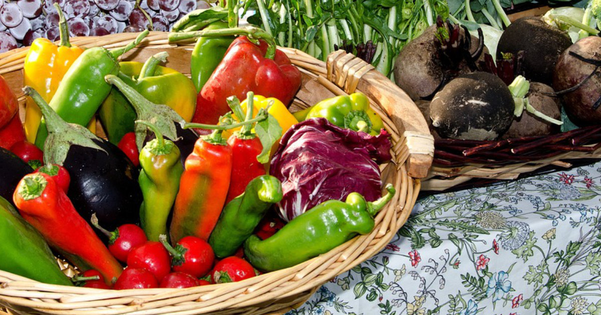 Richtig düngen im Gemüsegarten: Organische und mineralische Optionen für gesunde Pflanzen und reiche Ernte