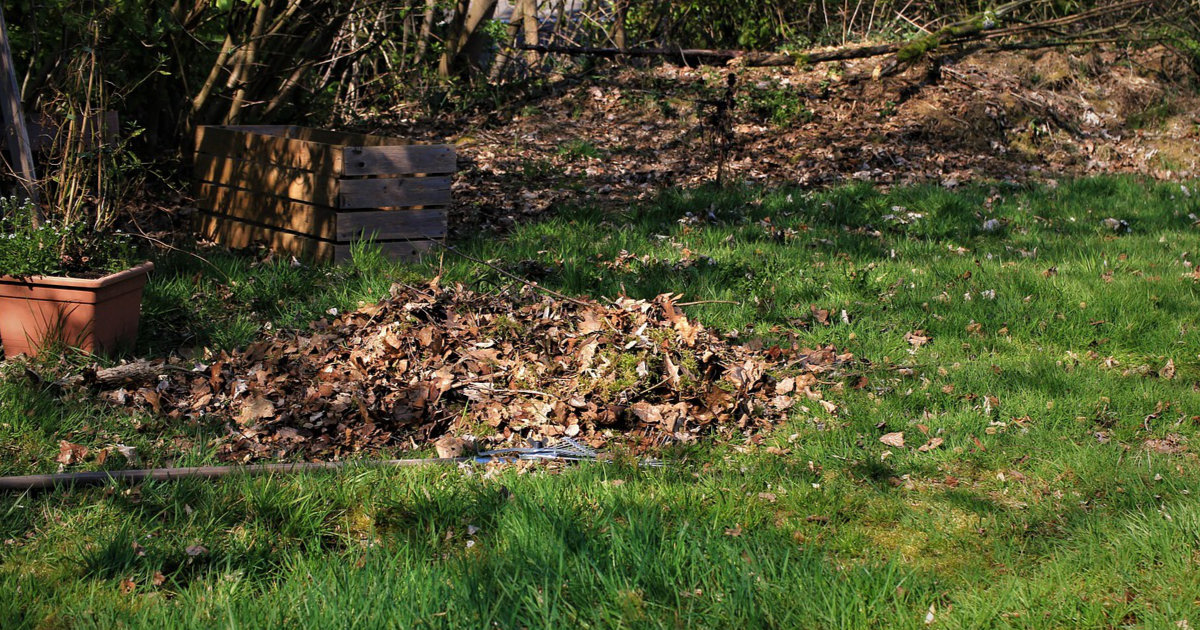 Stauden im Garten: Pflege und beliebte Sorten für eine blühende Oase – Tipps zur richtigen Garten Pflege und Sortenwahl