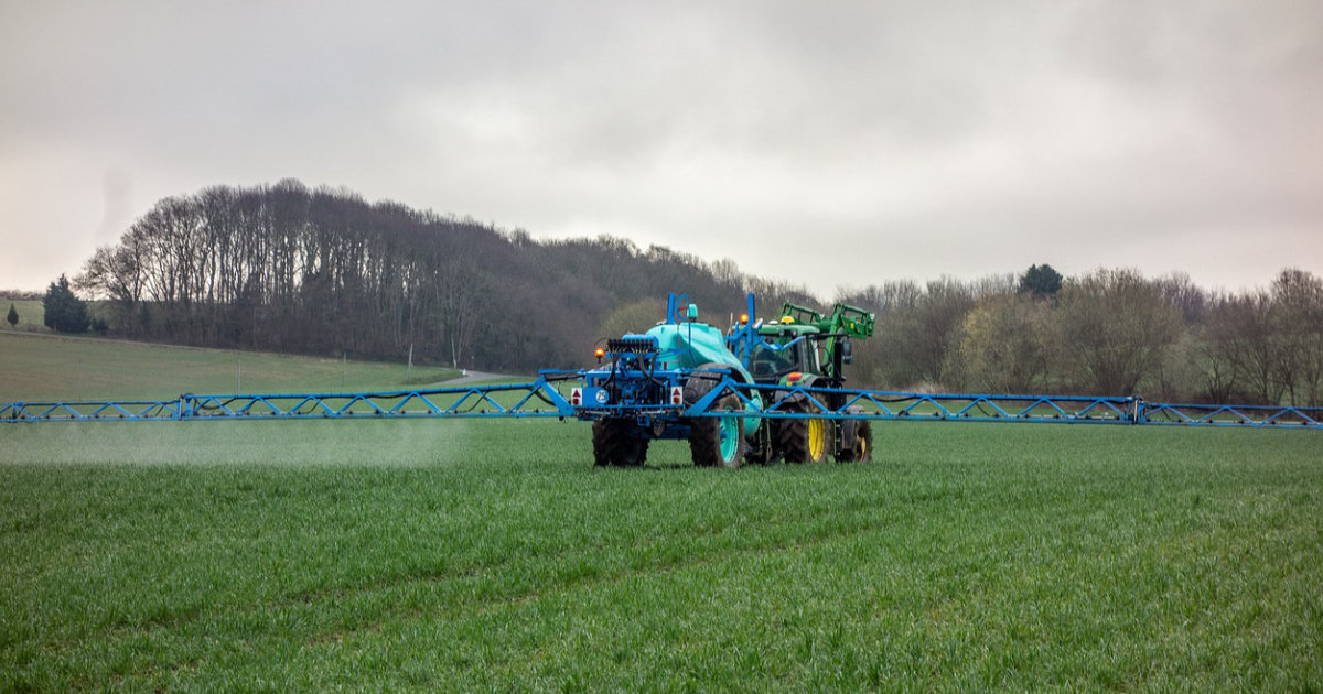 Richtig düngen: Tipps für Blumen, Sträucher und Gemüse – So versorgst du deine Pflanzen optimal