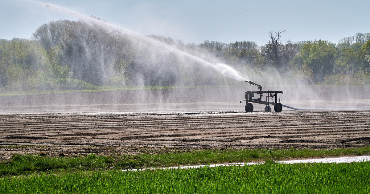 Rasenpflege leicht gemacht: Mähen, Düngen und Bewässern für einen gesunden, grünen Rasen