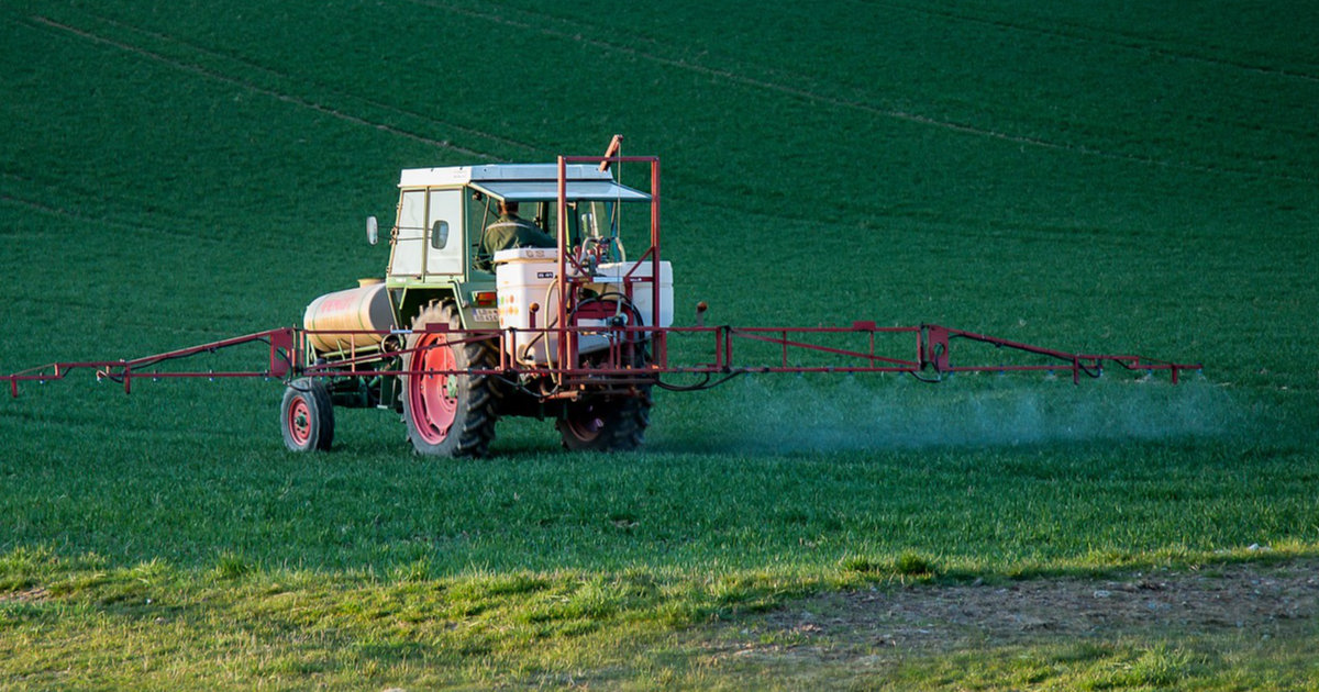 Pflanzenschutz natürlich: Effektive Tipps gegen Blattläuse und Schnecken – So hältst du deinen Garten schadfrei