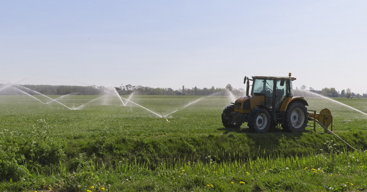 Bewässerungssysteme im Garten: Tipps und Tricks für eine effiziente und nachhaltige Gartenbewässerung