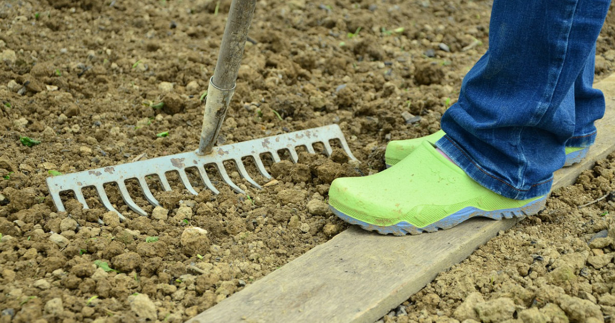 Frühjahrsputz im Garten: So bereitest du den Boden vor und legst neue Beete an