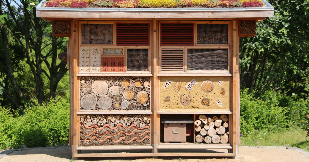 DIY-Insektenhotel: Ein Zuhause für Bienen, Schmetterlinge und nützliche Insekten