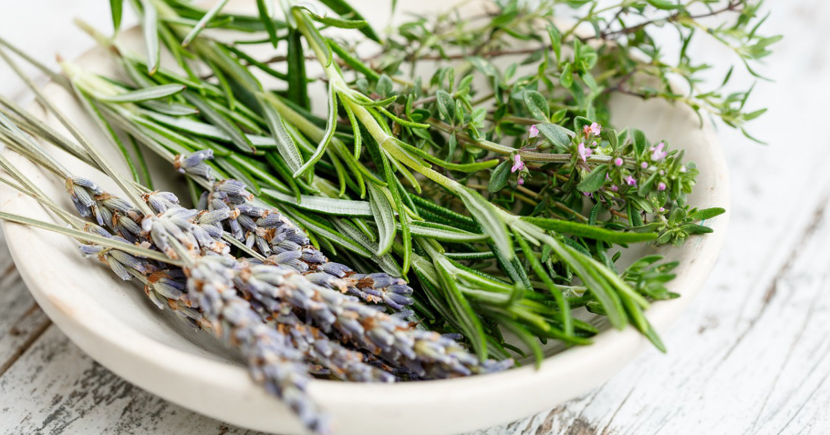 Kräuterspirale anlegen: So gelingt dir ein platzsparender Kräutergarten