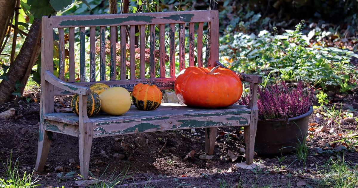 DIY-Gartenbank aus Paletten: Schritt-für-Schritt-Anleitung für deinen Garten