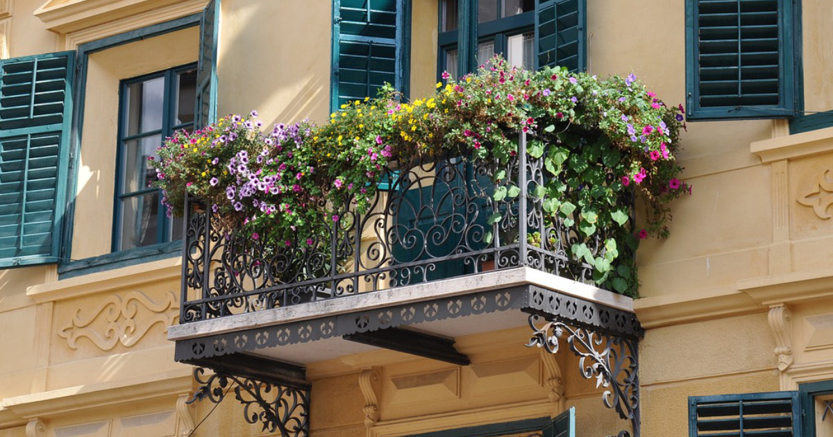 DIY-Blumenampeln für den Balkon: Kreative Ideen für deine hängenden Gärten
