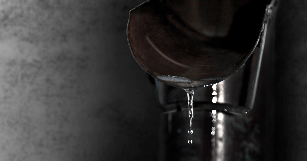 Regenwassernutzung im Garten: Bau einer Regentonne – So geht's!