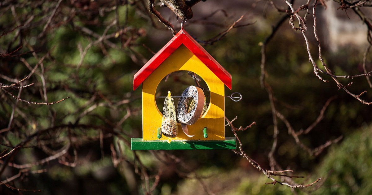 Vogelhäuschen selber bauen: Ein Paradies für Vögel im Garten