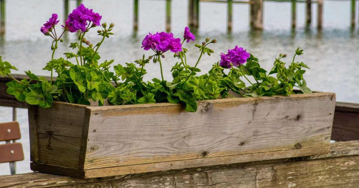 DIY-Blumenkasten aus Holz: Gestaltung für Balkon und Garten